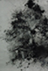 Black_048