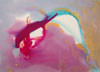 dolphin enounter